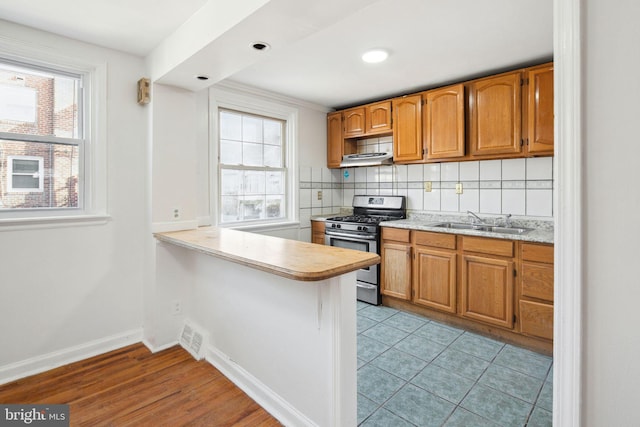 kitchen with light hardwood / wood-style floors, sink, a wealth of natural light, and stainless steel gas range