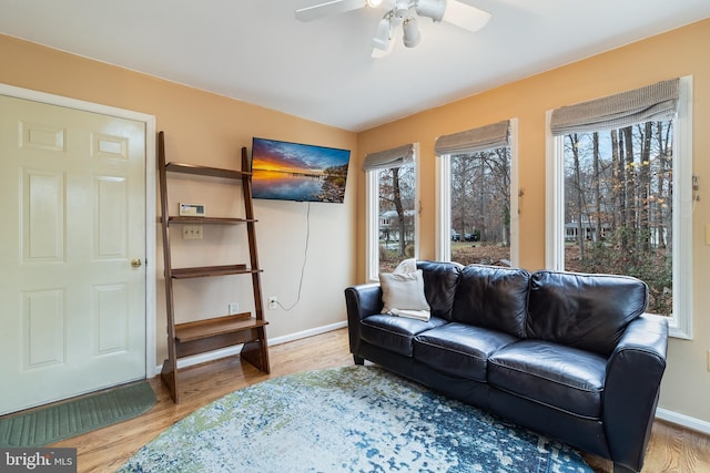 living room with hardwood / wood-style floors and ceiling fan