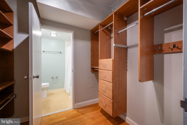 spacious closet featuring light wood-type flooring