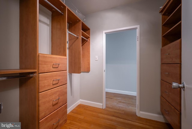 spacious closet with light hardwood / wood-style flooring