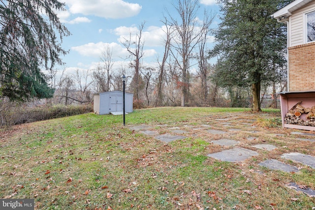 view of yard featuring a storage unit