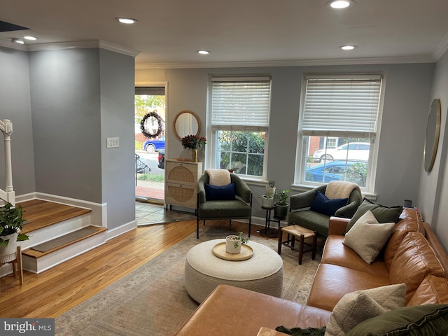 living room with ornamental molding and light hardwood / wood-style flooring