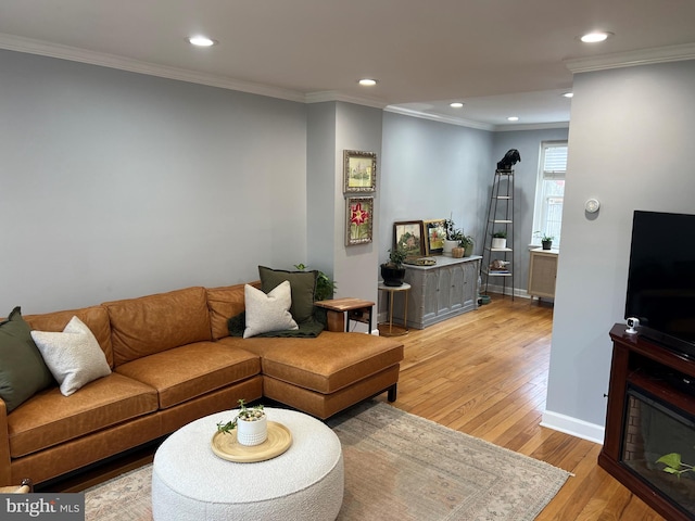 living room featuring light hardwood / wood-style floors and crown molding