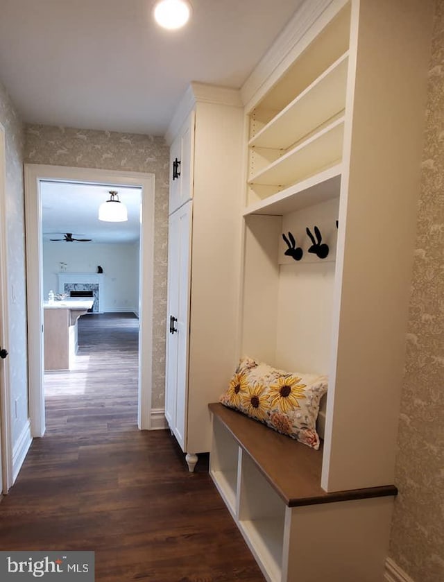 mudroom with ceiling fan and dark hardwood / wood-style flooring