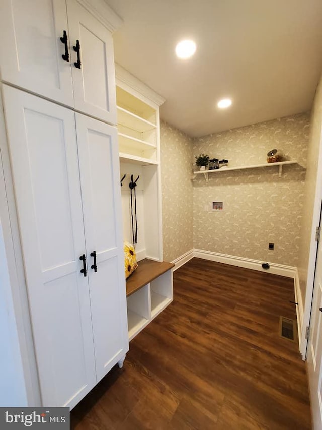 mudroom featuring dark wood-type flooring