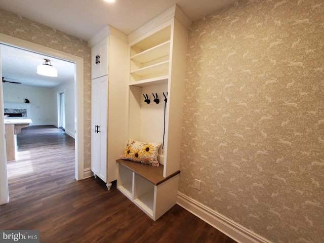 mudroom featuring dark hardwood / wood-style floors