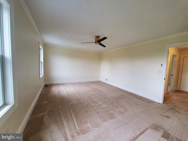 carpeted spare room with ceiling fan and ornamental molding