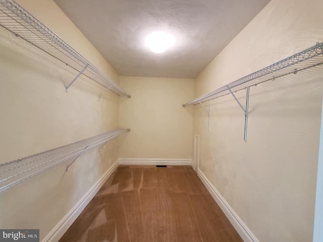 spacious closet featuring carpet