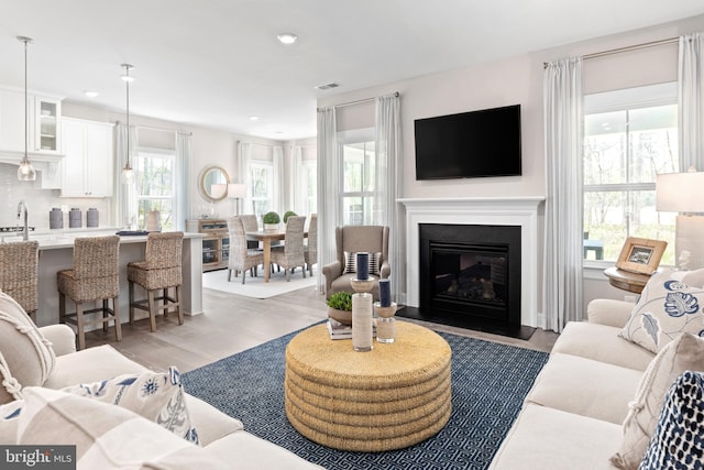 living room featuring sink and light hardwood / wood-style floors