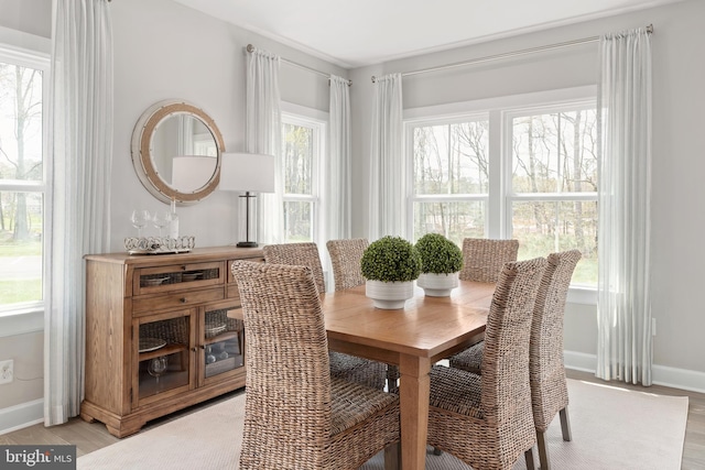 dining room with light hardwood / wood-style flooring and a healthy amount of sunlight