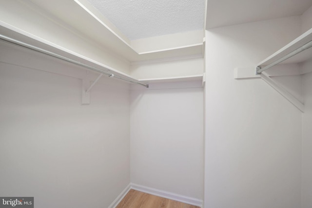 walk in closet with light hardwood / wood-style flooring