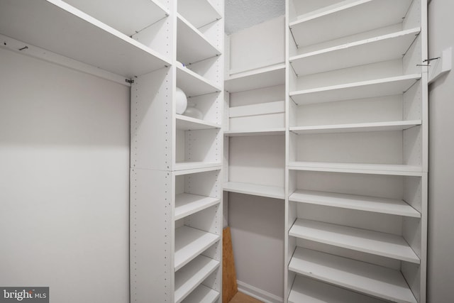 view of spacious closet