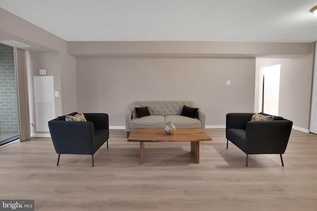 living room featuring a textured ceiling and light hardwood / wood-style flooring