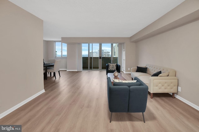 living room with a textured ceiling and light hardwood / wood-style floors