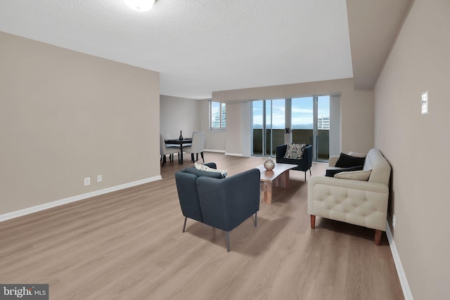 living room with light hardwood / wood-style floors and a textured ceiling