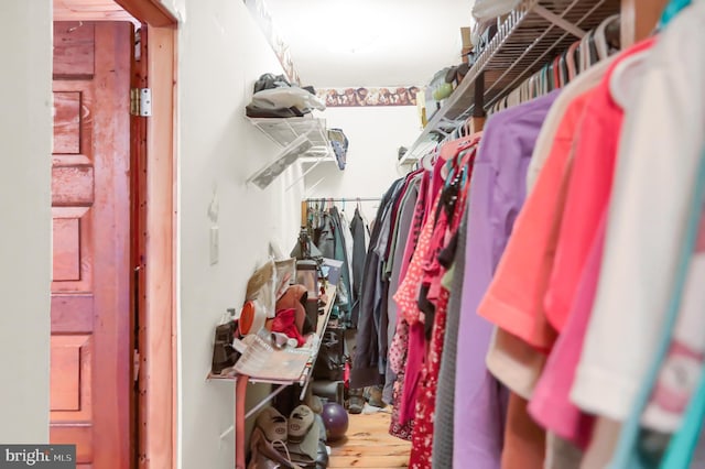 walk in closet featuring wood-type flooring