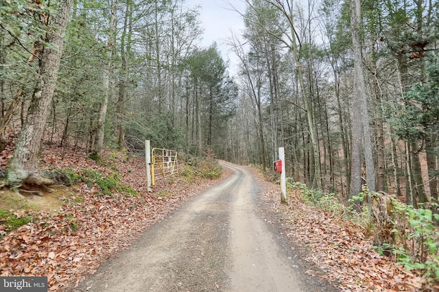 view of road