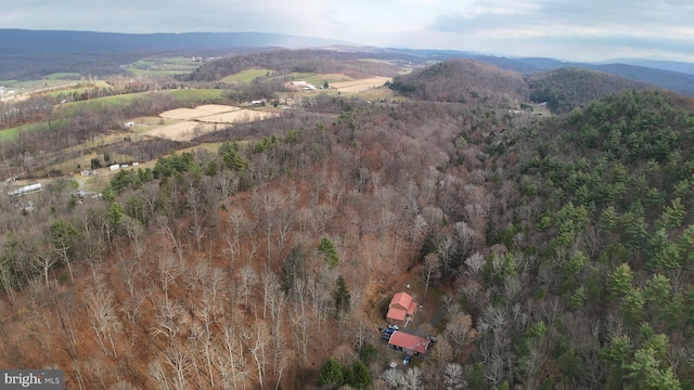 birds eye view of property featuring a mountain view