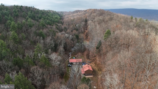 birds eye view of property featuring a mountain view