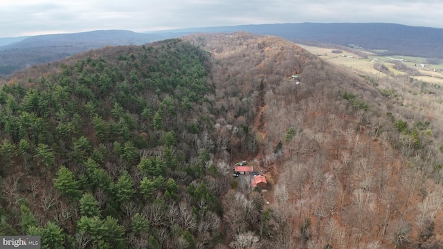 view of mountain feature