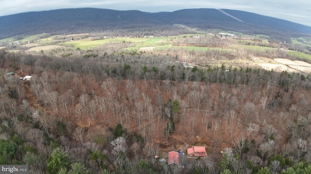 view of mountain feature