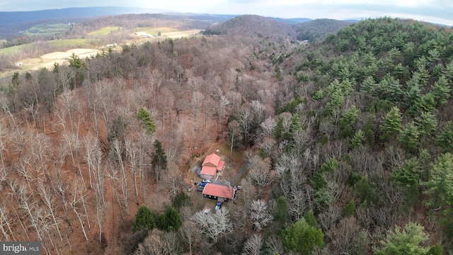 bird's eye view featuring a mountain view