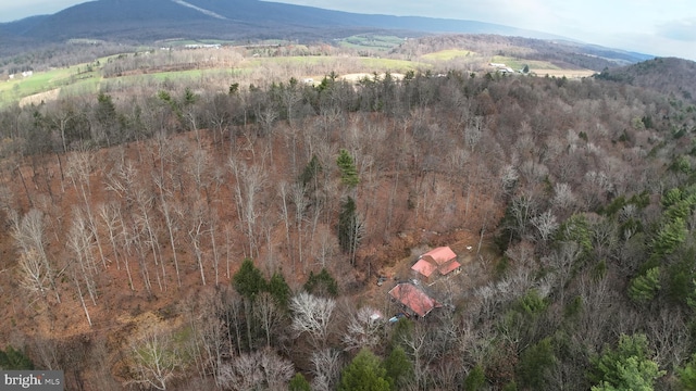 aerial view with a mountain view