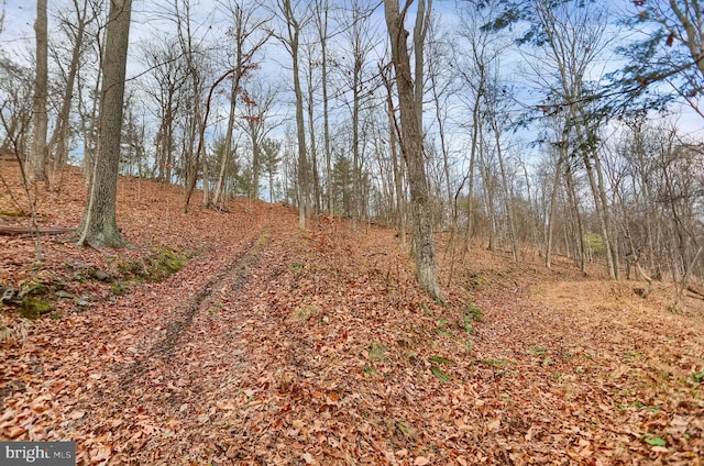 view of road