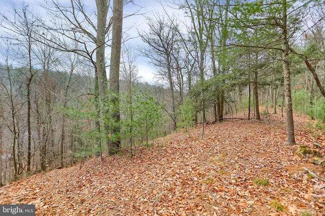 view of local wilderness