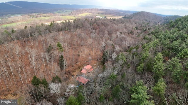 drone / aerial view featuring a mountain view