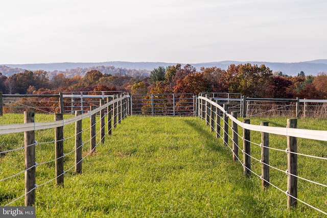 view of yard with a rural view