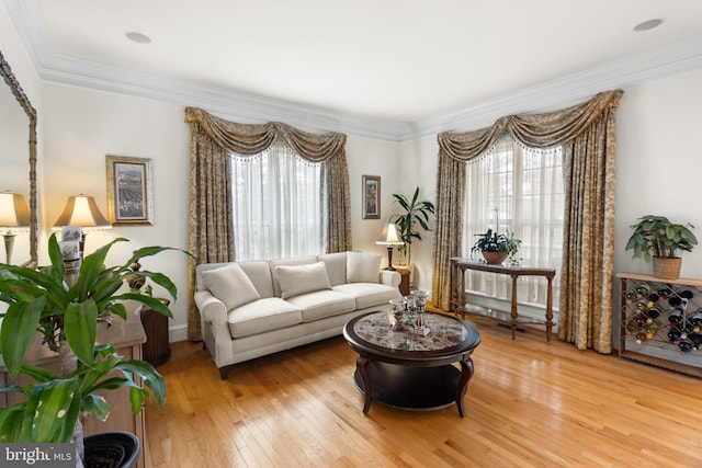 living room featuring crown molding and light hardwood / wood-style flooring