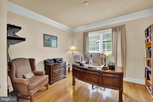 home office with light hardwood / wood-style floors and crown molding