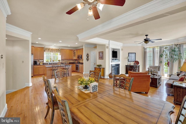 dining room with ceiling fan, crown molding, and light hardwood / wood-style flooring