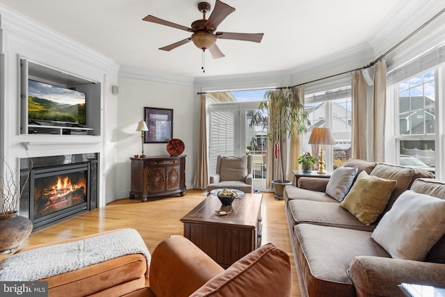 living room with ceiling fan, light hardwood / wood-style floors, and crown molding