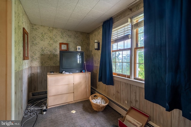 miscellaneous room featuring wood walls, baseboard heating, and a wealth of natural light