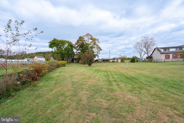 view of yard