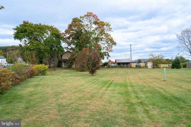 view of yard