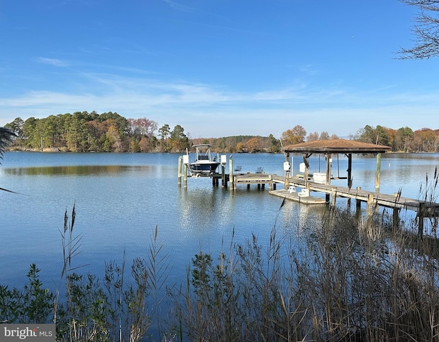 dock area featuring a water view