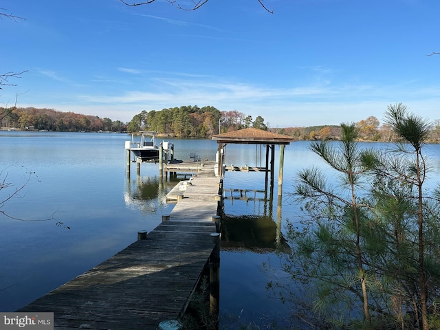 dock area with a water view