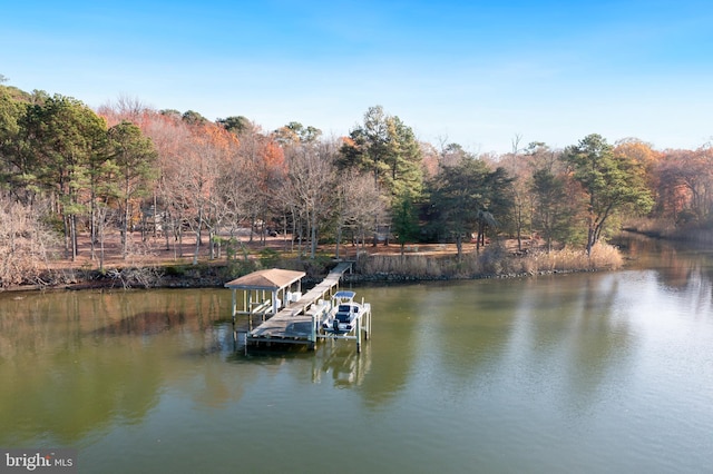 dock area featuring a water view