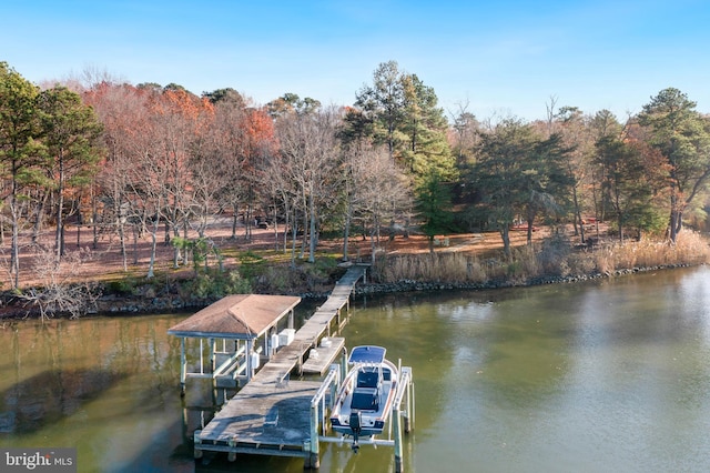 dock area with a water view