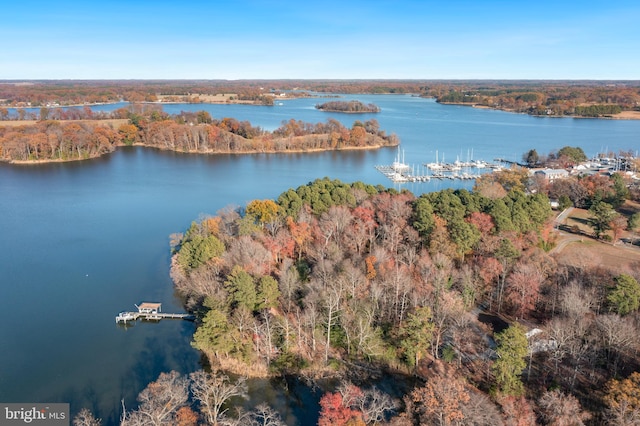 aerial view with a water view