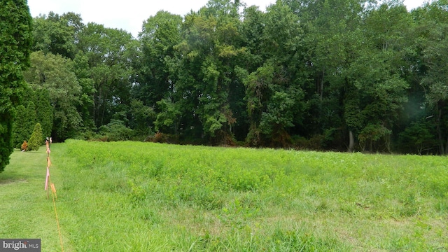 Hargreaves Dr, Federalsburg, MD 21632