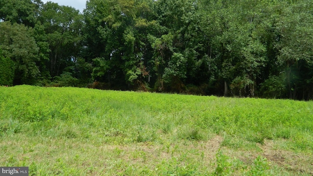Hargreaves Dr, Federalsburg, MD 21632