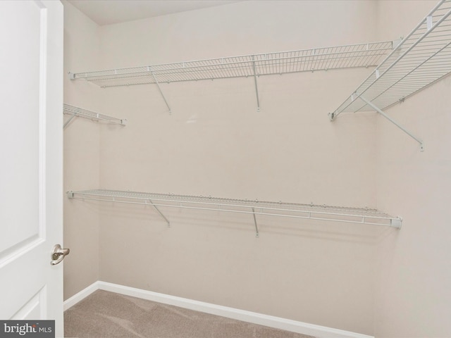 spacious closet with carpet floors