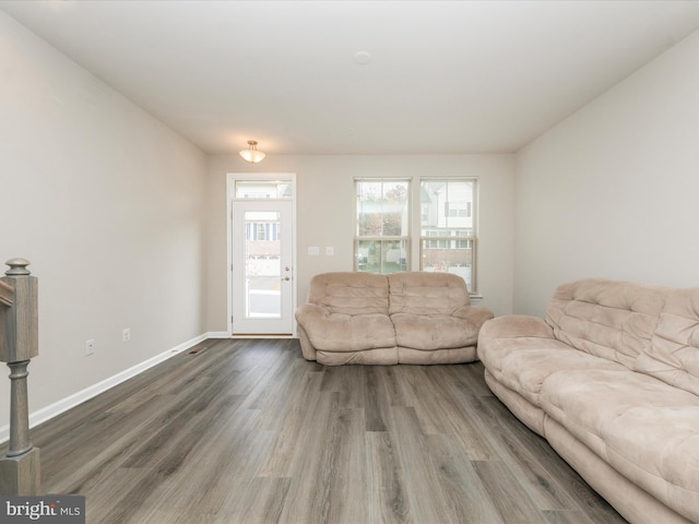 living room with wood-type flooring