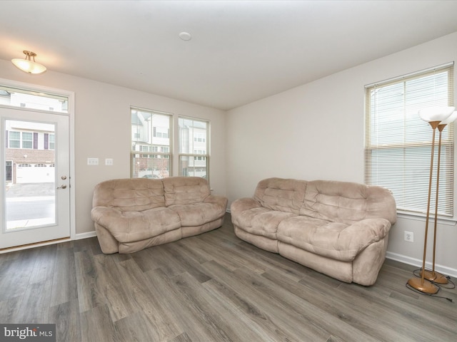 living room with hardwood / wood-style floors and a wealth of natural light