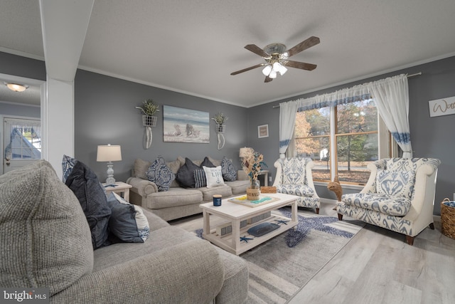 living room featuring light wood-type flooring, ceiling fan, and crown molding