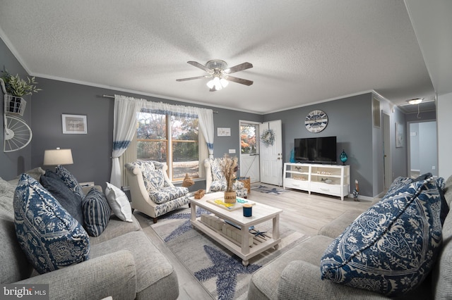 living room featuring wood-type flooring, a textured ceiling, and crown molding